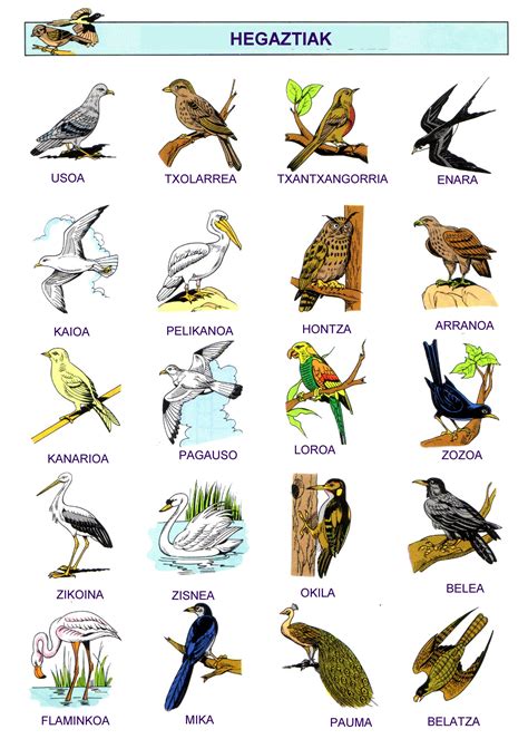 Top 143 + Aerial animals chart with names - Inoticia.net