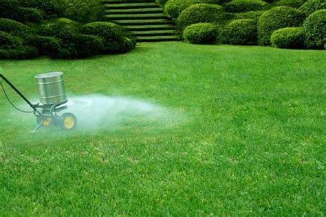 Maryland Lawn Lime Application Services | SureGreen Lawn Solutions