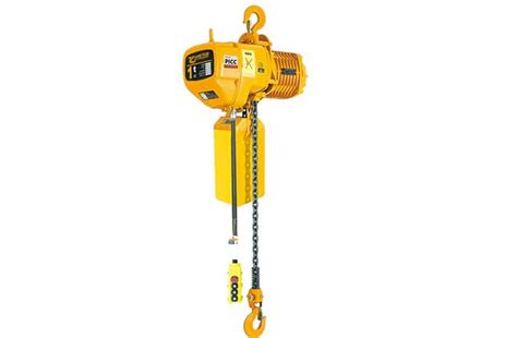 1 ton Electric Chain Hoist for Sale - Yuantai Crane