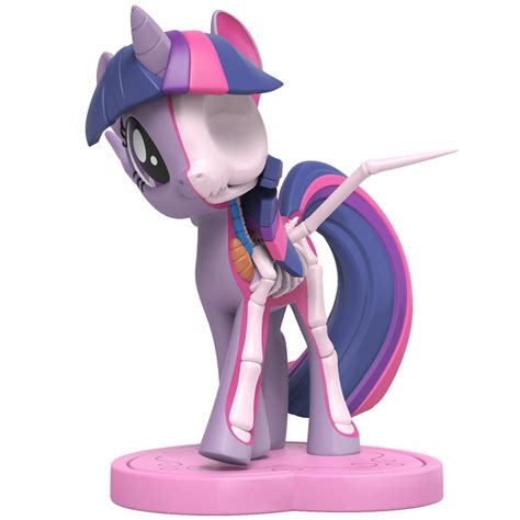 Equestria Daily - MLP Stuff!: Pony Anatomy Revealed in New My Little Pony Dissection Toys From ...