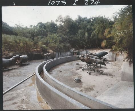 Passport to Dreams Old & New: Jungle Cruise Florida: Behind the Scenes