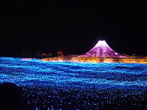 Tunnel of Lights Made of Millions of LEDs in Japan | Bored Panda