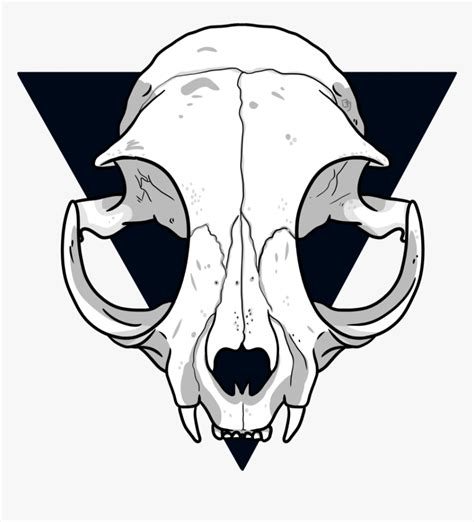 Cat Skull Drawing - Easy Cat Skull Drawing, HD Png Download - kindpng