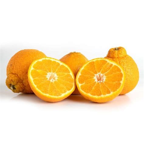 Dekopon Mandarins — Melissas Produce