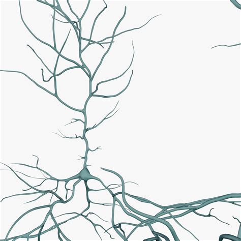 Pyramidal neurons model - TurboSquid 1196142