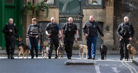 Police Dogs Honoured For Attack Heroics | Counter Terrorism Policing