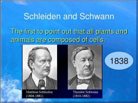 Theodor Schwann And Matthias Jakob Schleiden: The Discovery Of The Cell – MudFooted