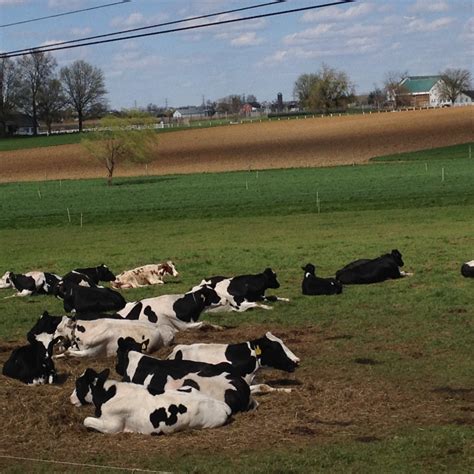 Amish Communities in Western Pennsylvania | WanderWisdom