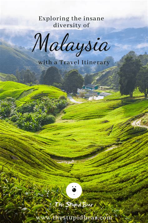 Malaysia Travel Itinerary for up to 3 weeks - The Stupid Bear