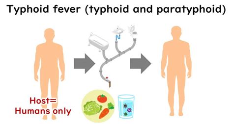 Salmonella | Introduction to Food Microbiology and Safety