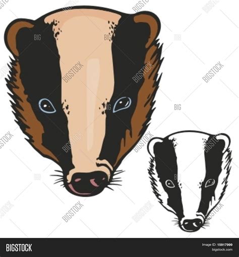 Badger Mascot Sport Vector & Photo (Free Trial) | Bigstock