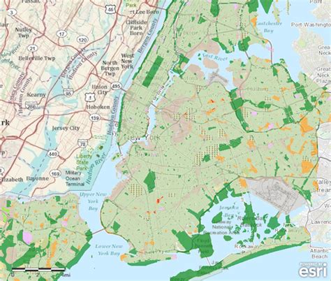 NYC Only Has The 2nd Best Parks In The U.S. - Gothamist