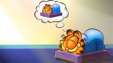 Garfield Sleeping - Desi Comments