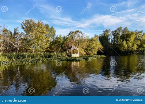 Louisiana Bayou, landscape stock image. Image of wild - 35293089