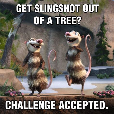 13 best Ice Age Memes! images on Pinterest | Memes humor, Meme and ...