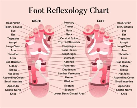 5 Benefits of a Foot Massage | Here are 5 reasons why you should book in a foot massage for your ...