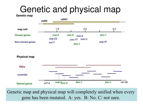 Genetic Map Physical Map