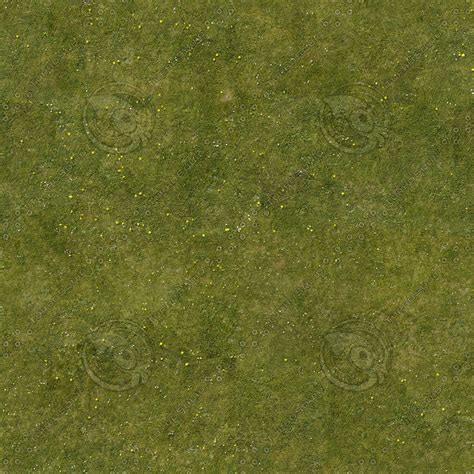 Texture JPEG grass texture ground