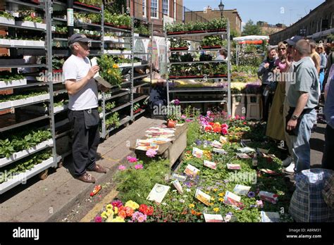 Columbia Road flower market London's famous Sunday morning flower ...