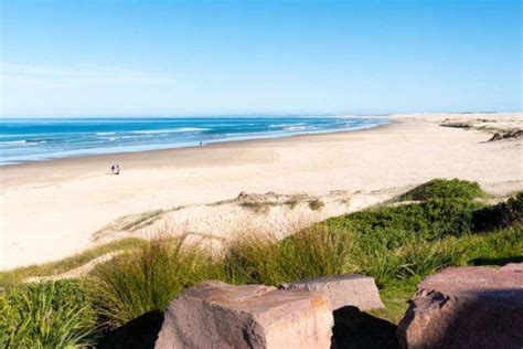 The 9 BEST Port Stephens Beaches - Nelson Bay and Beyond (2024 Guide)