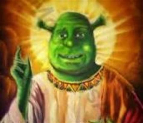 Blursed Shrek. Literally : r/blursedimages