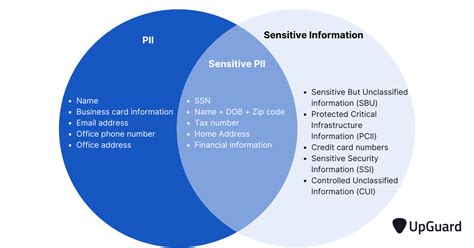 What is Personally Identifiable Information? Definition + Examples | UpGuard