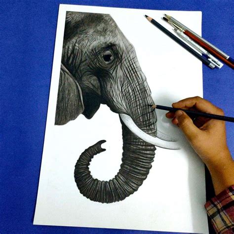 Realistic Elephant Drawing 🖤 | Elephant drawing, Charcoal drawing animals, Elephant sketch