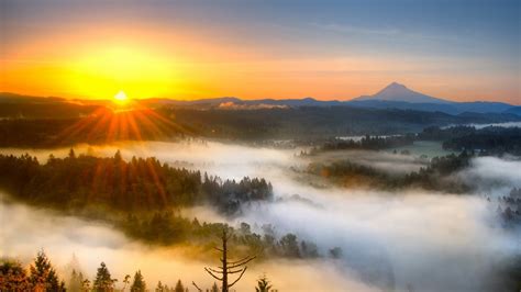 Wallpaper Morning mist mountain sunrise 2560x1600 HD Picture, Image