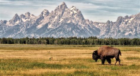 Parque Nacional del Grand Teton | Visit The USA