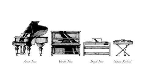 5 Different Types of Piano - MusicalHow