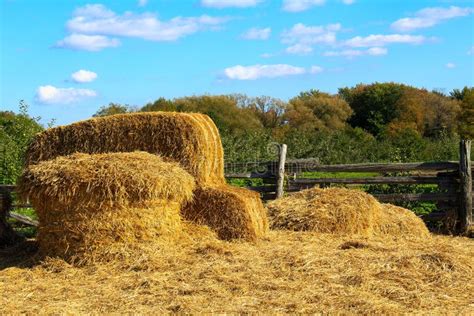 Hay Farm stock image. Image of country, bales, dried - 34273371