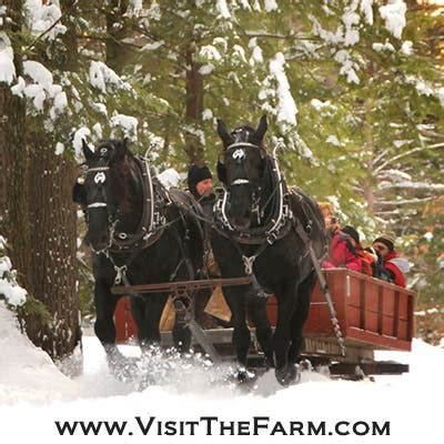 Horse-Drawn Sleigh Rides | Portsmouth, NH Patch