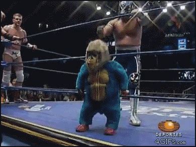 Pro Wrestling GIF - Find & Share on GIPHY