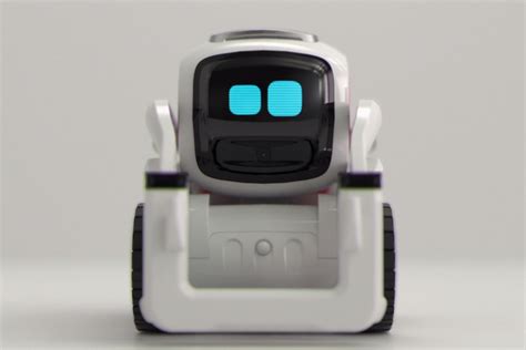 ai robot toy for adults - Logan Banda