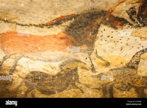 Prehistoric cave paintings of wild horse, (dun horse), Lascaux IV Stock ...