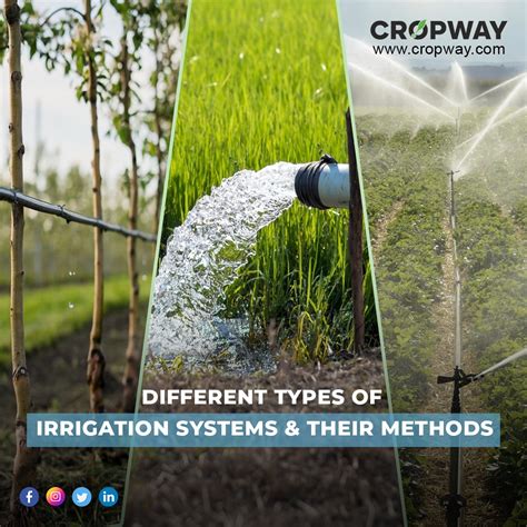 Different Types of Irrigation Systems & Their Methods - CROPWAY