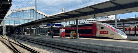 Designer Energie Zeig es dir sbb tgv Eisbär Mutter Aal