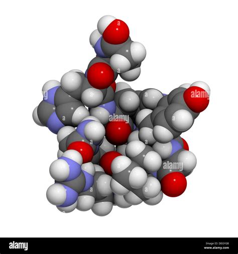 Gonadotropin-releasing hormone (GnRH, Luteinizing-hormone-releasing Stock Photo: 60609147 - Alamy