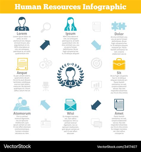 Human resources infographics print poster Vector Image