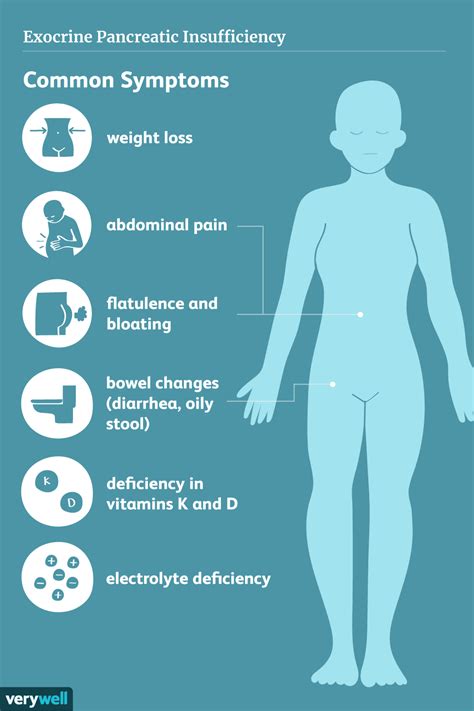 Exocrine Pancreatic Insufficiency Explained