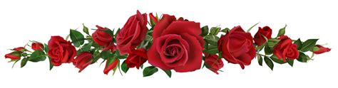 Red Roses Border Clipart