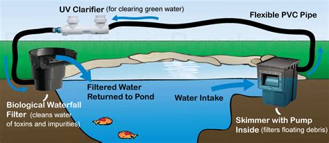 What is an Ecosystem Pond?