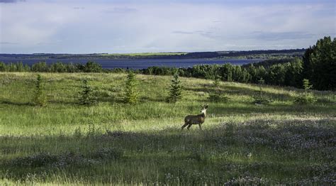 15 Must-Visit Lakes in Alberta