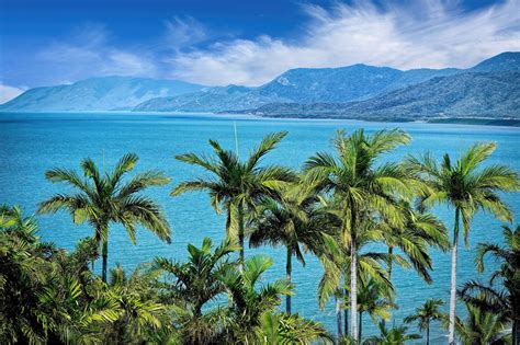 Port Douglas -the 5 Best Beaches in queensland - visitportdouglas.com.au