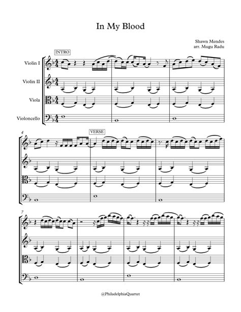 In My Blood (arr. Mugu Radu) by Shawn Mendes Sheet Music for String ...