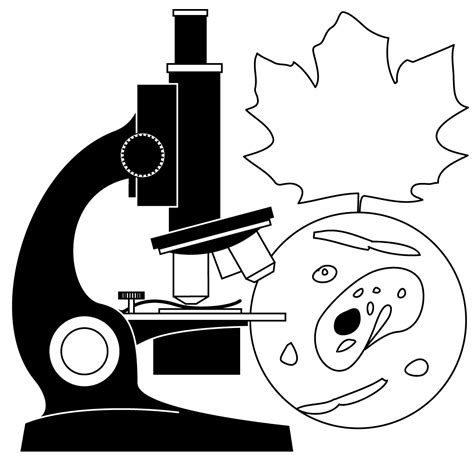 Clip art school science clipart 3 - WikiClipArt
