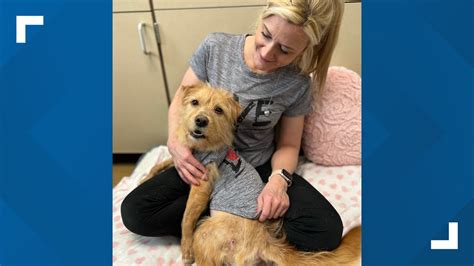 Travolta adopted by Kentucky Humane Society veterinarian | whas11.com