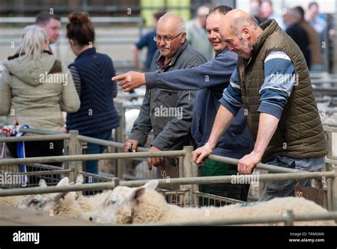 Farmers at the Auction mart, Lancashire, UK Stock Photo - Alamy