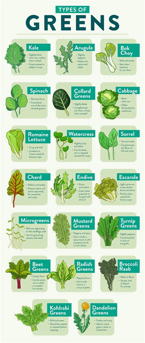 Different Types of Greens | Leaf vegetable, Vegetable recipes, Greens