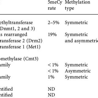 Main enzymes involved in DNA methylation in different groups of ...